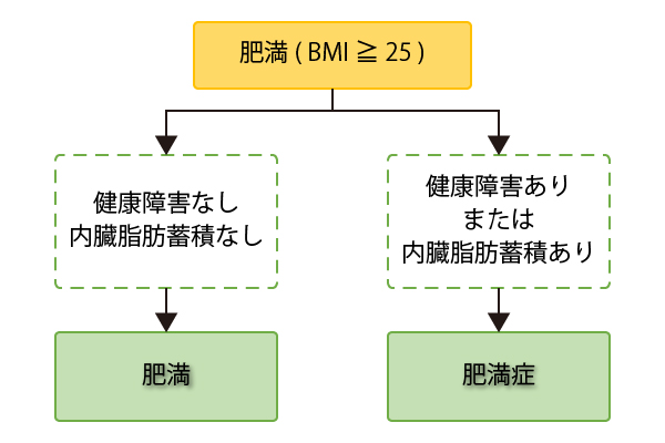 BMI25以上簡易フローチャート