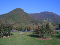 松代温泉地区のリンゴ畑と尼厳山と奇妙山