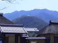 真田公園から眺める桜の象山(手前は旧樋口家住宅)