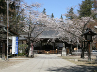 桜の季節の象山神社。郷土の偉人・佐久間象山を祀る