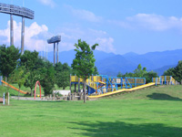 南長野運動公園内には無料のアスレチックパークもあり