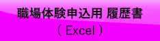 インターンシップ申込用履歴書(Excel)