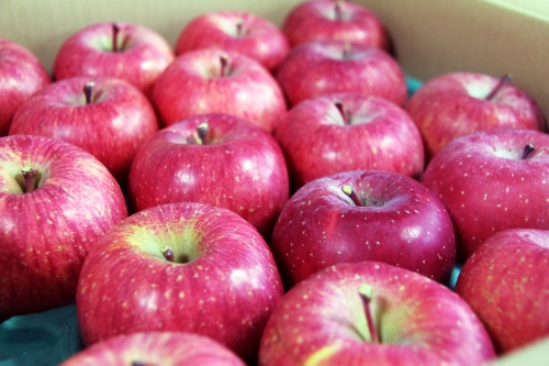 「長野県りんごの日」JAグリーン長野様よりりんごが寄贈されました