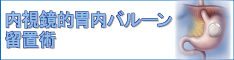 内視鏡的胃内バルーン留置術