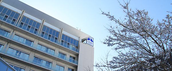 2020年 新年を迎えて
