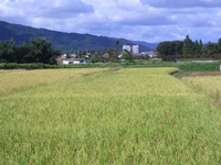 松代温泉地区から病院を眺める