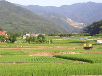 松代町・初夏の里山風景