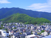 病院屋上から眺める新緑の象山