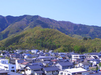 新緑の象山