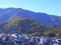 紅葉の象山