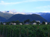 長芋と松代病院と皆神山