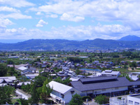 病院西側8月の風景