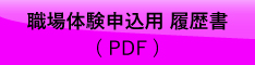 インターンシップ申込用履歴書(PDF)