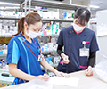 新人の1日