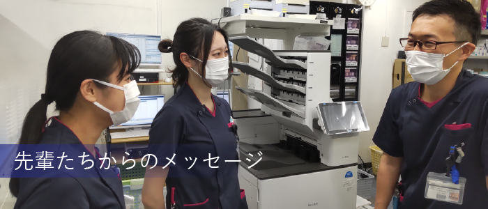 先輩たちからのメッセージ