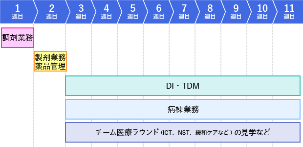 実習のスケジュール