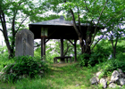 隠れた桜の名所・象山山頂前広場