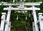 独特の迫力がある離山神社