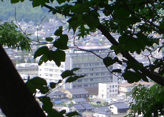 象山中腹から眺める松代病院