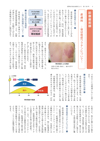 診療最前線
