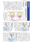 診療最前線
