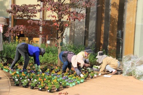 園芸福祉あんずの会による、中庭パティオの花壇の植替え