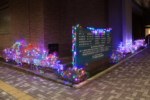 イルミネーション2015が始まりました