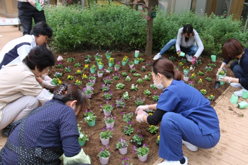 中庭花壇の花の植替えが行われました