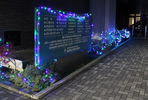 イルミネーション2016が始まりました