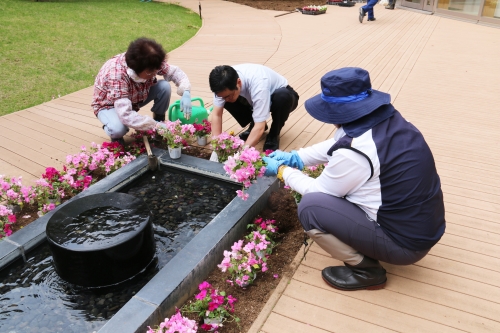 中庭パティオの花壇の植替えを行いました