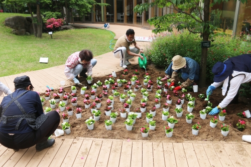 中庭パティオの花壇の植替えを行いました