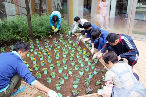 中庭パティオ 秋の花壇の植替えを行いました