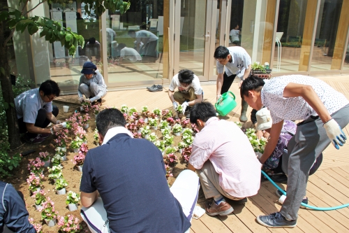 中庭パティオの花壇の植替えを行いました