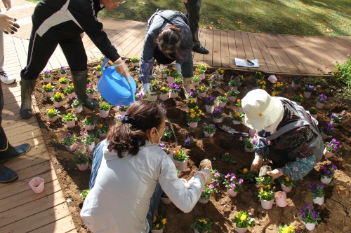 中庭パティオ 秋の花壇の植替えを行いました