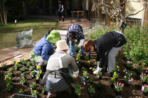 パティオ花壇の植替え