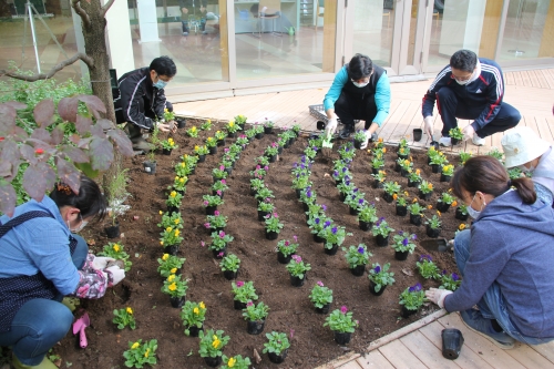 中庭パティオの花壇の植替えが行われました(10/24)