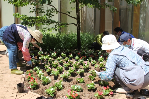 中庭パティオの花壇の植替えを行いました(6/12)