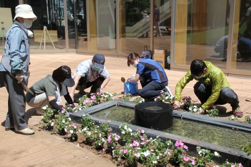中庭パティオの花壇の植替えを行いました(6/12)