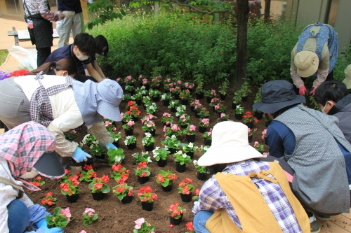 中庭パティオの花壇の植替えを行いました(6/11)