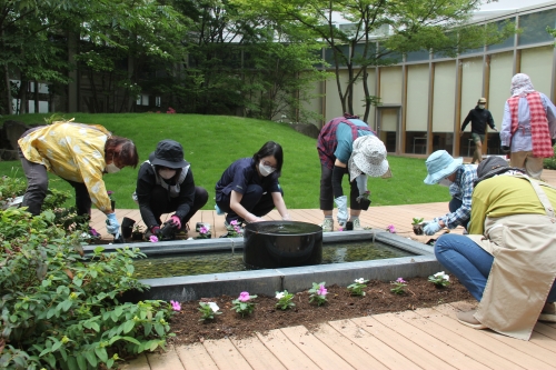 中庭花壇の植え替えを行いました(6/10)