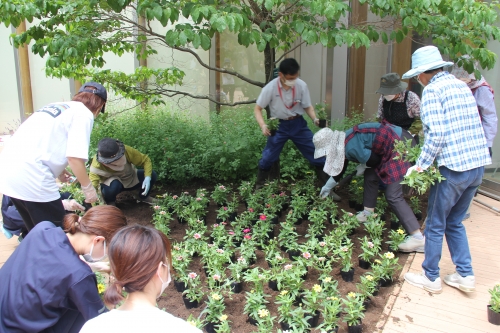 中庭花壇の植え替えを行いました(6/10)