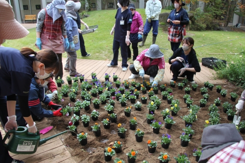 中庭花壇の植え替えを行いました(10/28)