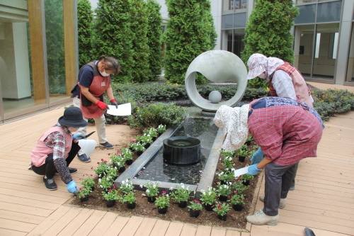中庭花壇の植え替えを行いました(10/26)