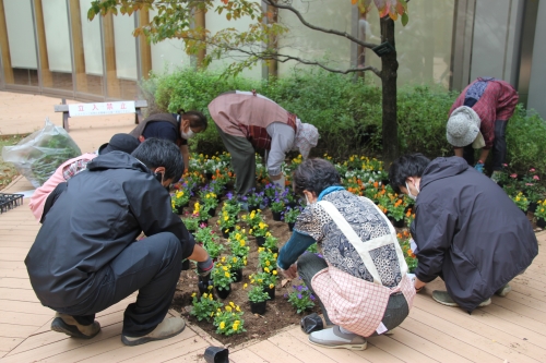 中庭花壇の植え替えを行いました(10/26)
