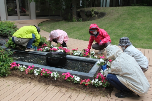 中庭花壇の植え替えを行いました(5/24)