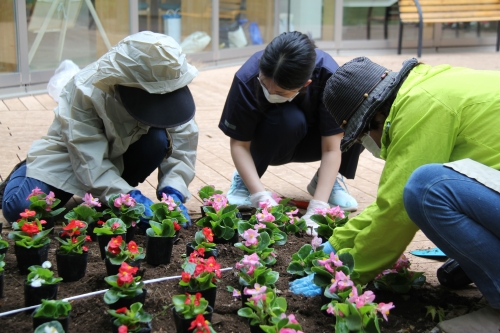 中庭花壇の植え替えを行いました(5/24)