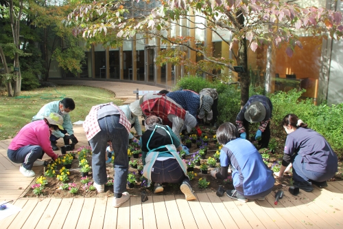 中庭花壇の植え替えを行いました(10/25)