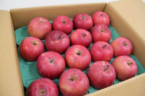 JAグリーン長野様よりりんごが寄贈されました(11/21)