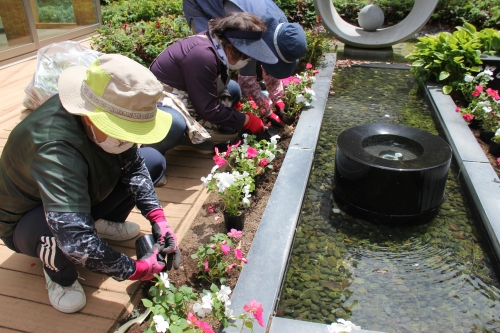 中庭花壇の植え替えを行いました(5/23)