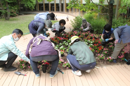 中庭花壇の植え替えを行いました(5/23)